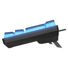 EVEREST BRIAR Siyah Q Red Switch RGB Type-C Mekanik Gaming Oyuncu Klavyesi