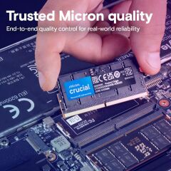 CRUCIAL NTB 16GB 5600MHz DDR5 CT16G56C46S5