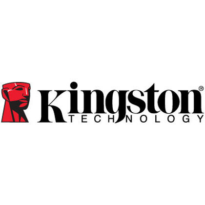 Üreticinin resmi Kingston
