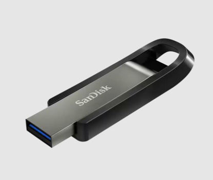 SANDISK 128GB EXTREME GO PRO USB 3.2 SDCZ810-128G-G46 resmi